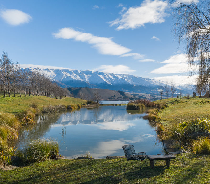 Auckland to Queenstown Highlights Tour