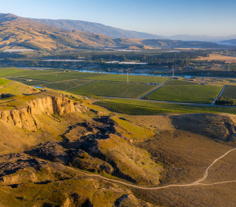 9 day South Island Wine Adventure