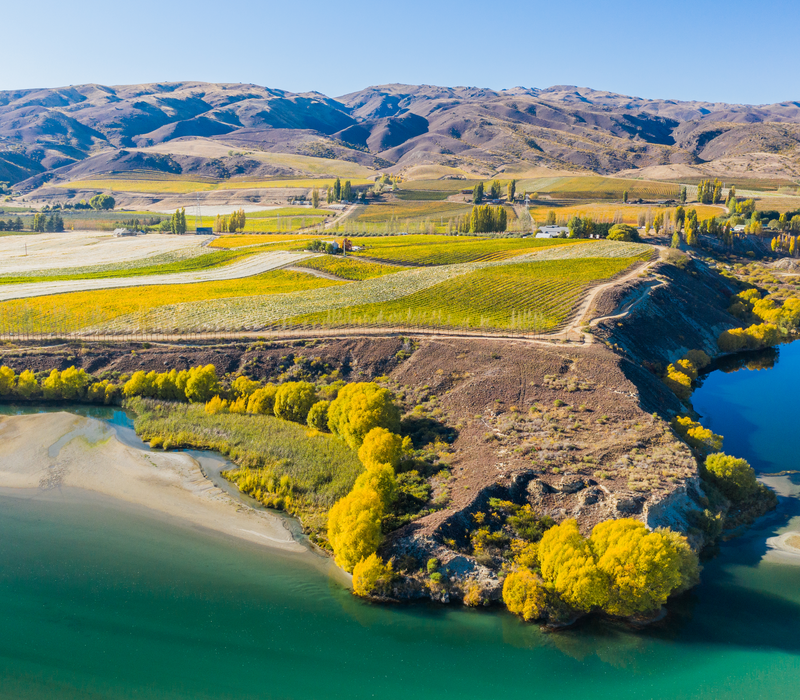 South Island Luxury Wine Adventure