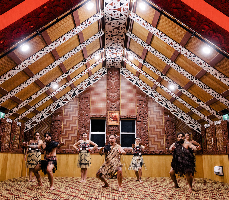 AAT Kings: New Zealand's Northern Gems - Small Group Tour