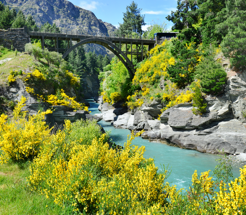 Classic New Zealand Driving Tour