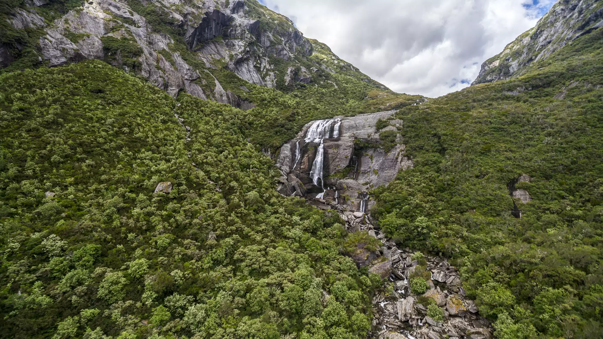A wide waterfall cascades down a steep, rocky mountain face surrounded by dense green native bush in the Haast Pass. Credit: West Coast Tourism Main Image