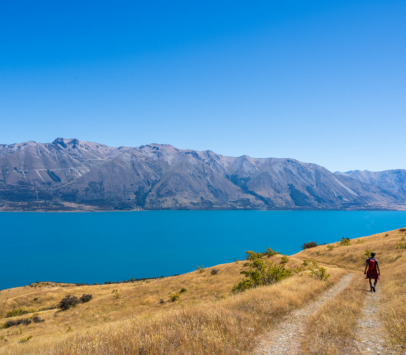 Queenstown to Queenstown South Island Highlights
