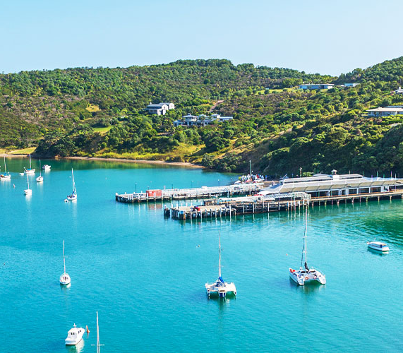 Intrepid Travel: Premium New Zealand North Island