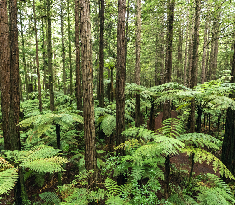 North Island Explorer - Accessible Tour
