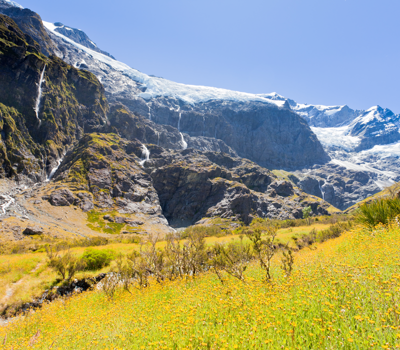 Auckland to Christchurch Extended Hiking Explorer Tour