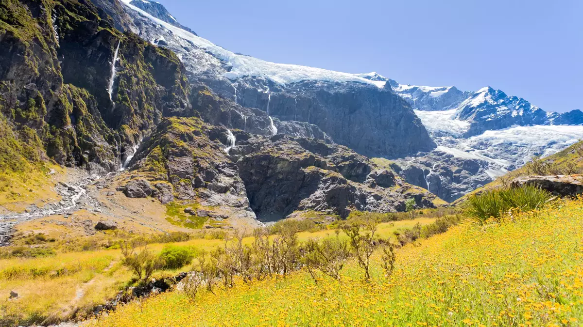 Field of yellow wildflowers with waterfalls and a glacier on rocky mountains in the background under clear sky. Main Image