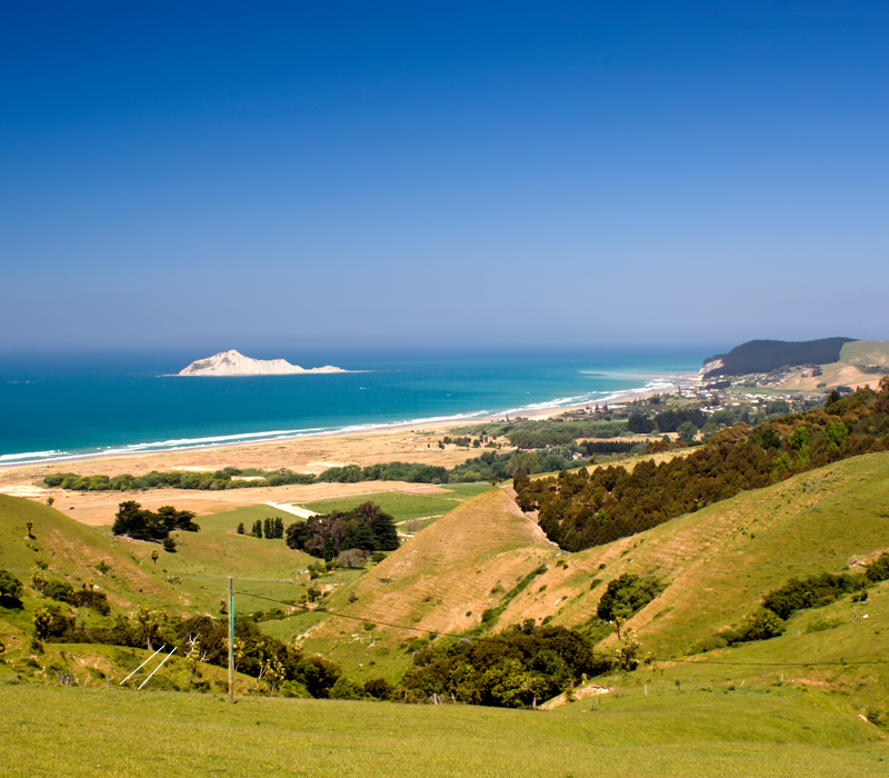 Aotearoa on a Plate: Auckland to Wellington