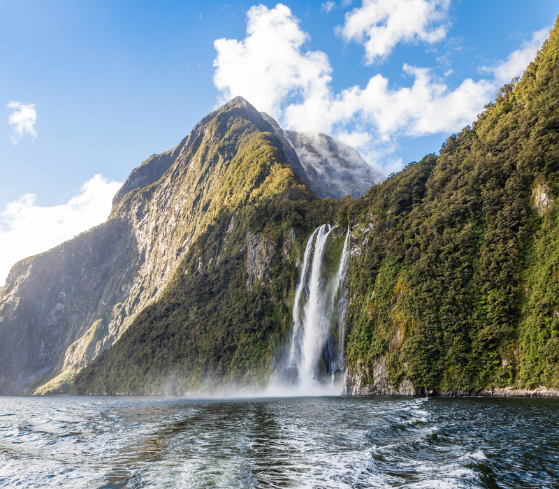 South Island Natural Discovery