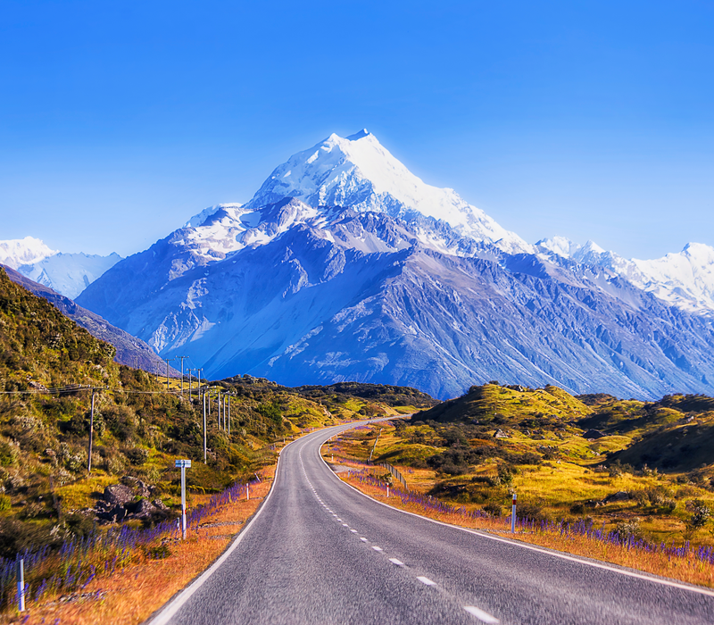 Taste of the South Island