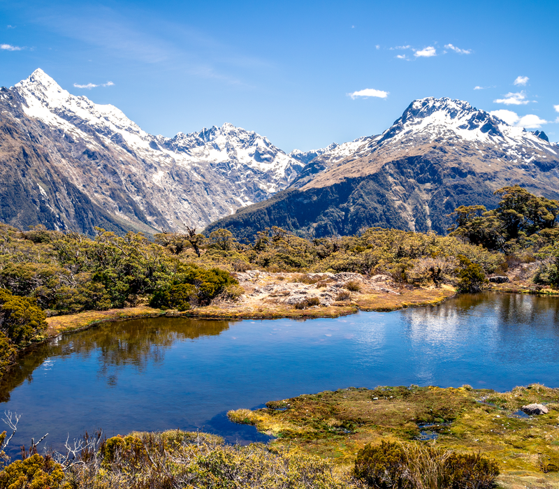 Auckland to Christchurch Hiking Exploration