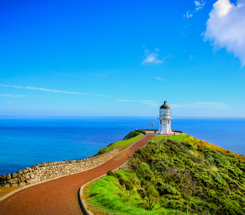 North Island Spectacular