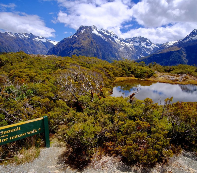 Hike Routeburn Track and Explore Queenstown