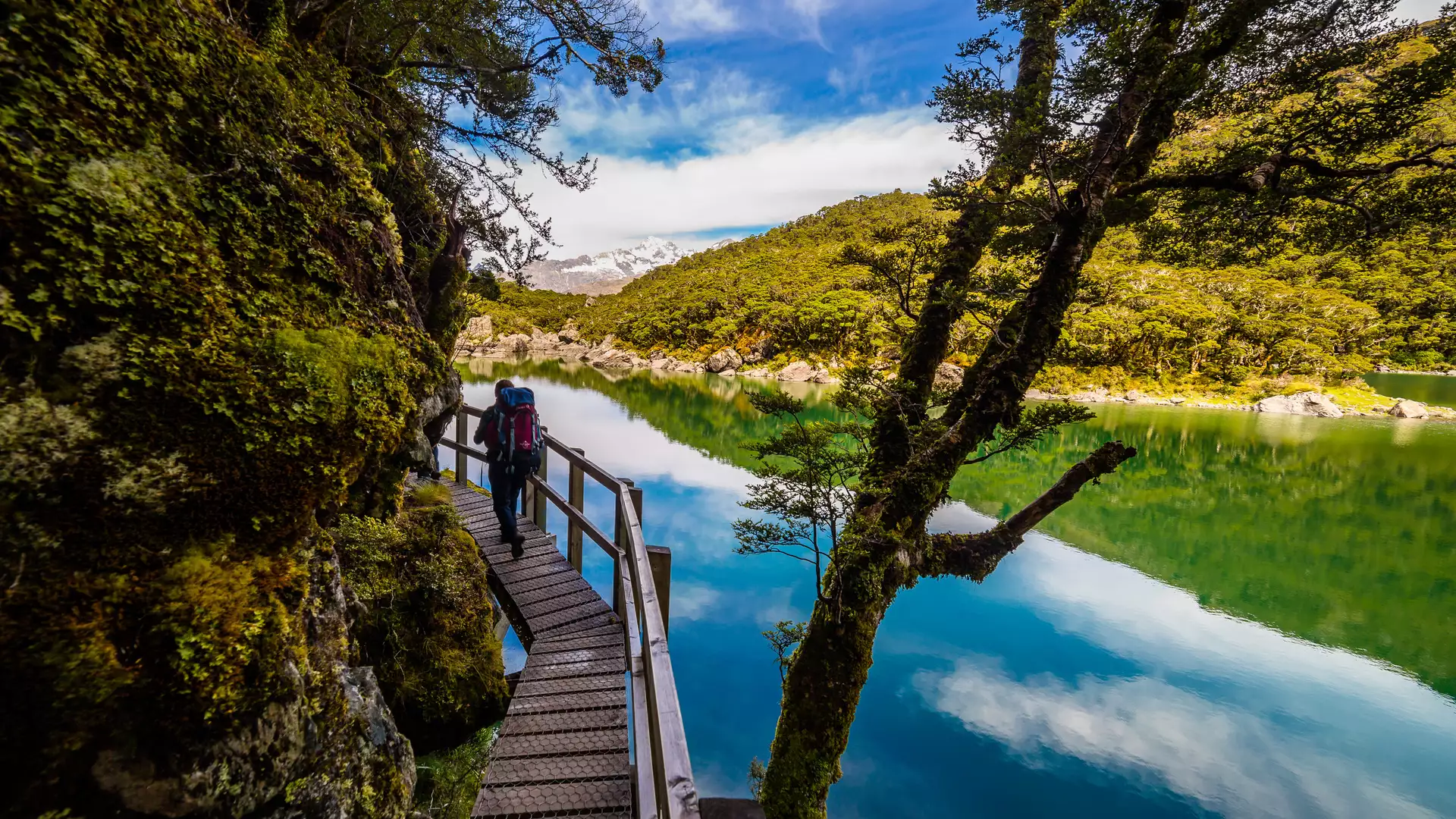 Person hiking on wooden boardwalk next to a clear lake with trees and mountains in the background Main Image