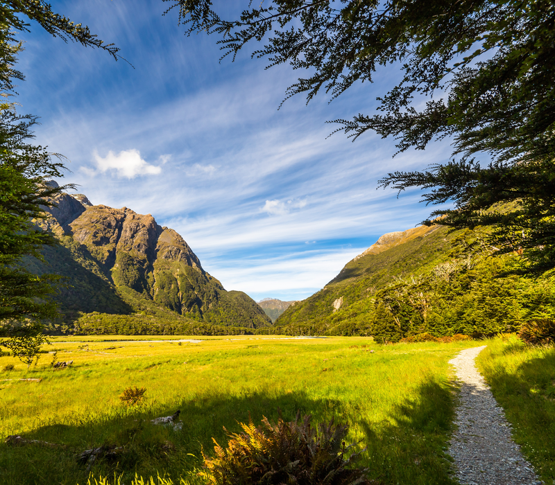 Routeburn Guided Walk & West Coast Wonders