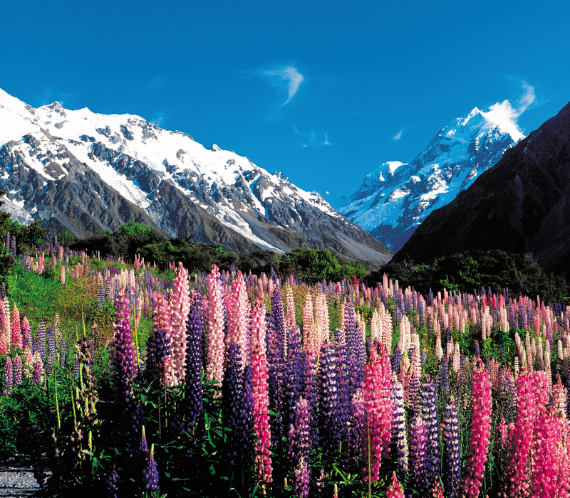 Auckland to Christchurch Wonders of New Zealand