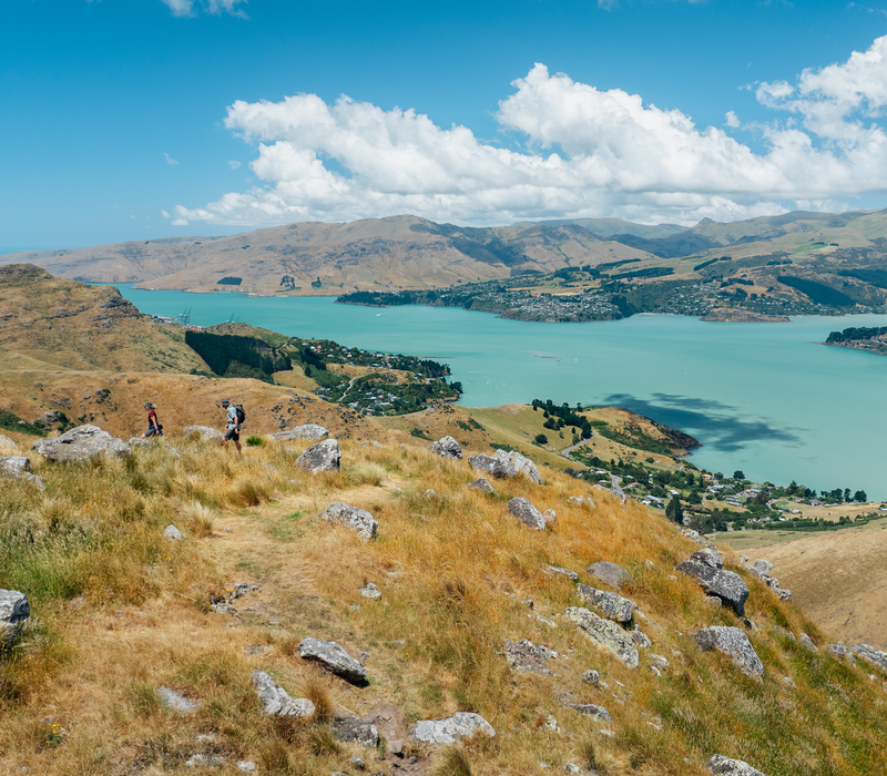 Southern Lakes and TranzAlpine Circuit