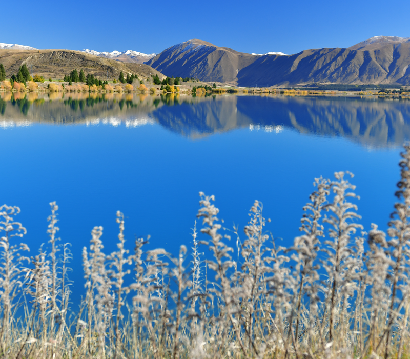 Classic South Island