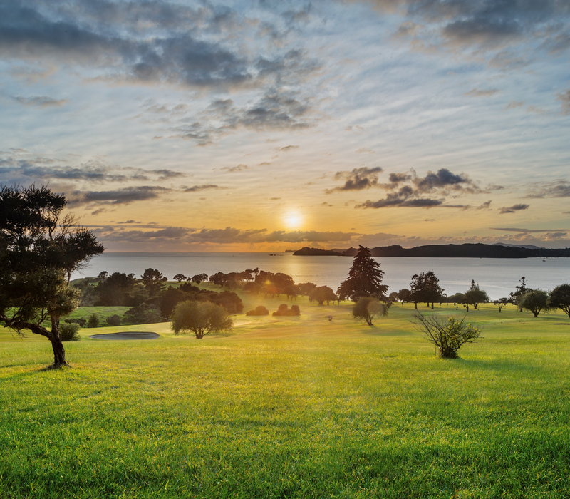 Bay of Islands Escape