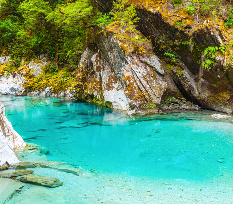 South Island Coastal Self Drive tour