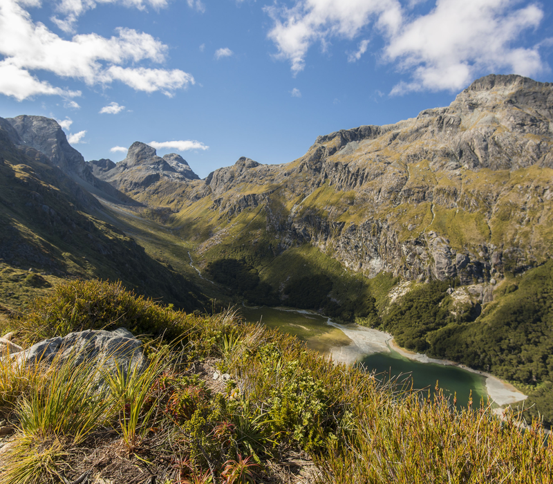South Island Hiking Adventure