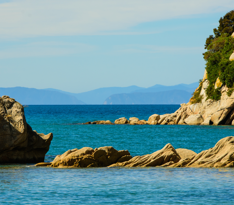 Extended Discovery of New Zealand