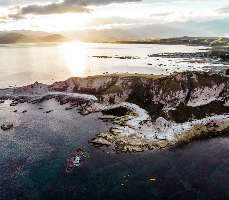 The Ultimate NZ Coastal Safari