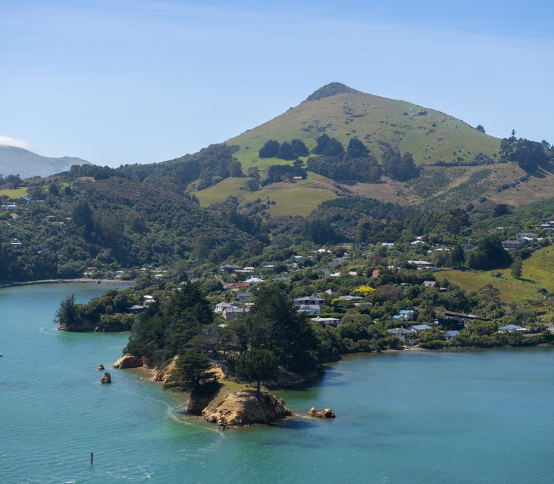 Southern Highlights Wellington to the Southern Alps