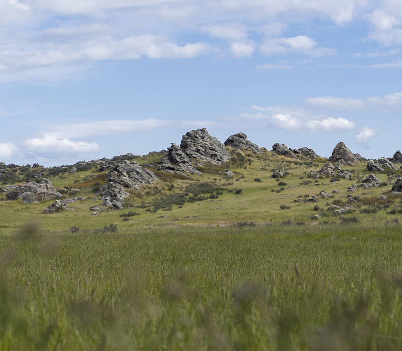 15 Day South Island Natural Discovery