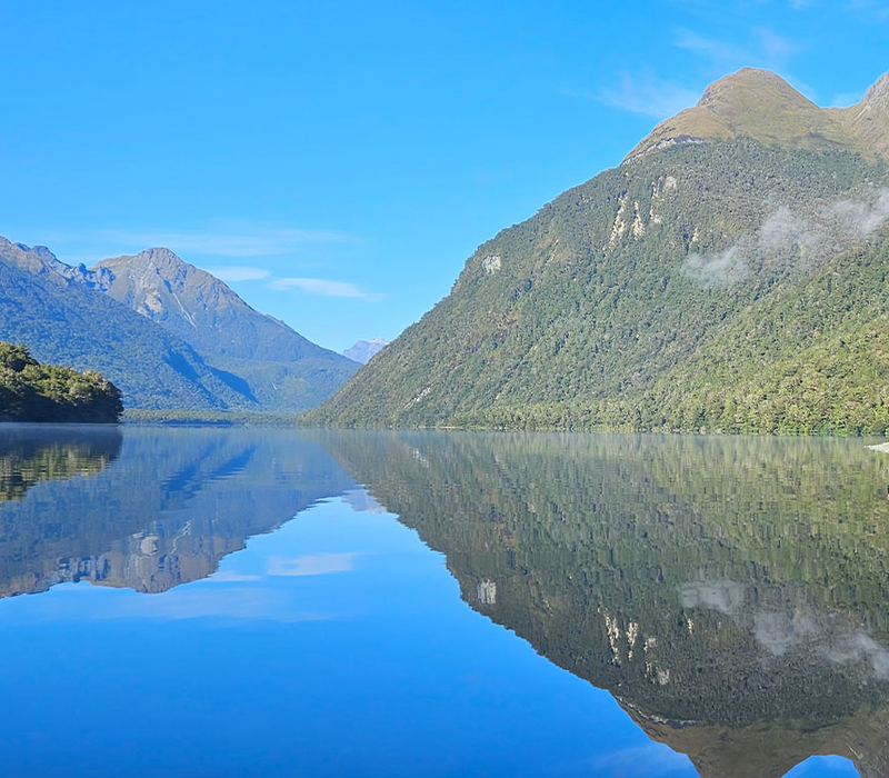 Milford Sound Highlights Tour