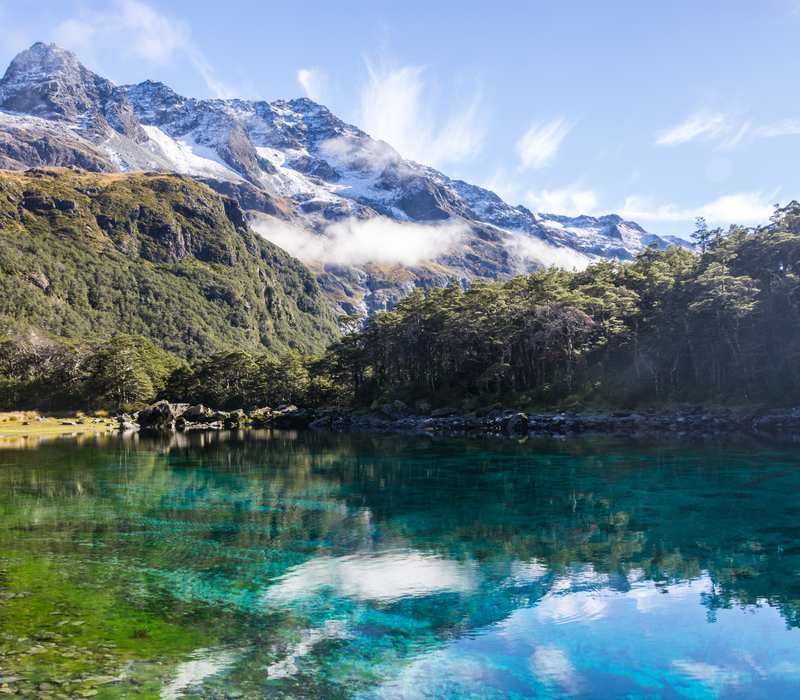 New Zealand Grand Tour