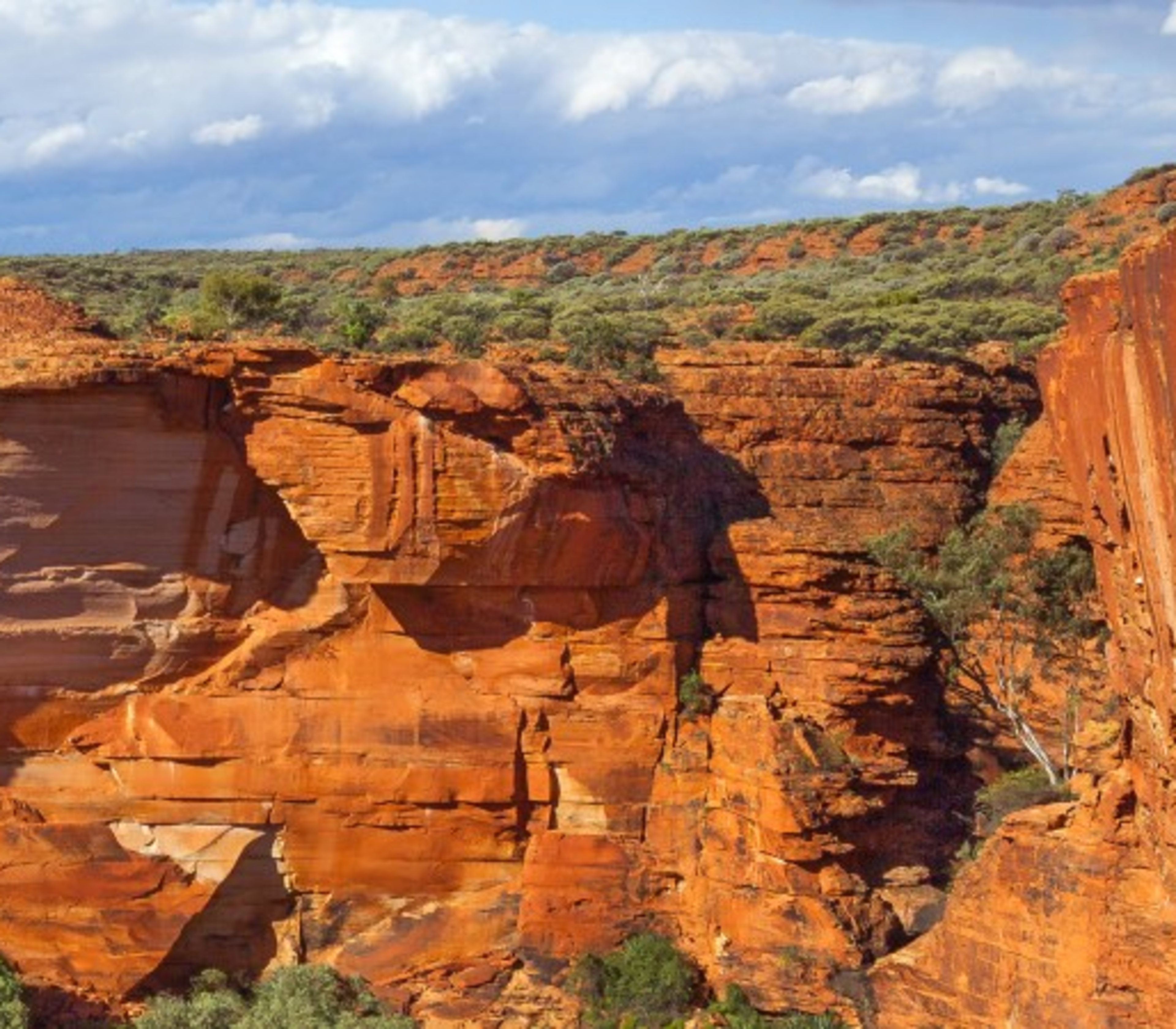 Panoramic view of the massive orange sandstone cliffs and deep gorges of Kings Canyon in the Northern Territory.
