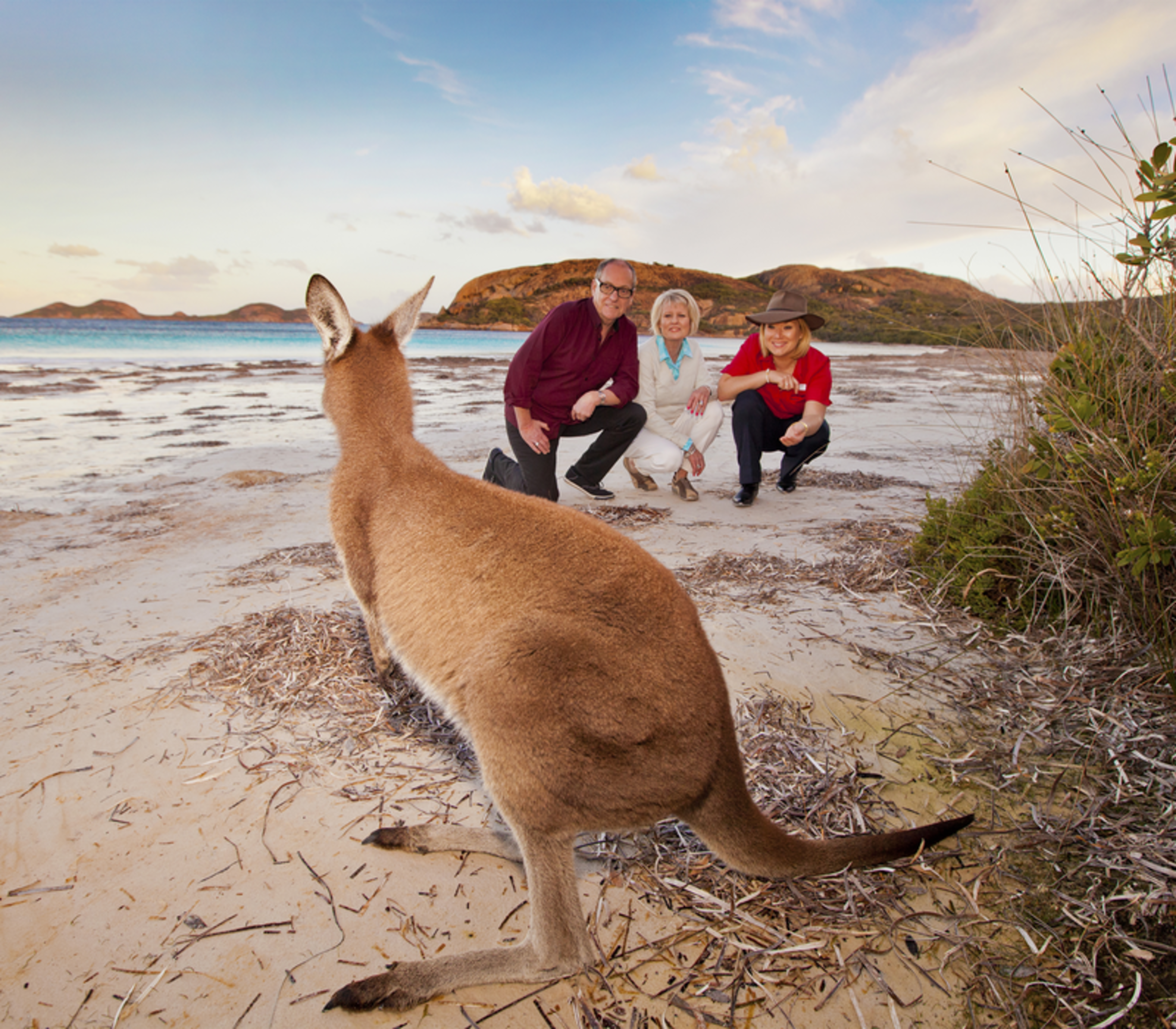 A kangaroo standing on the white sand of Lucky Bay beach in Esperance, Western Australia, with tourists in the background.