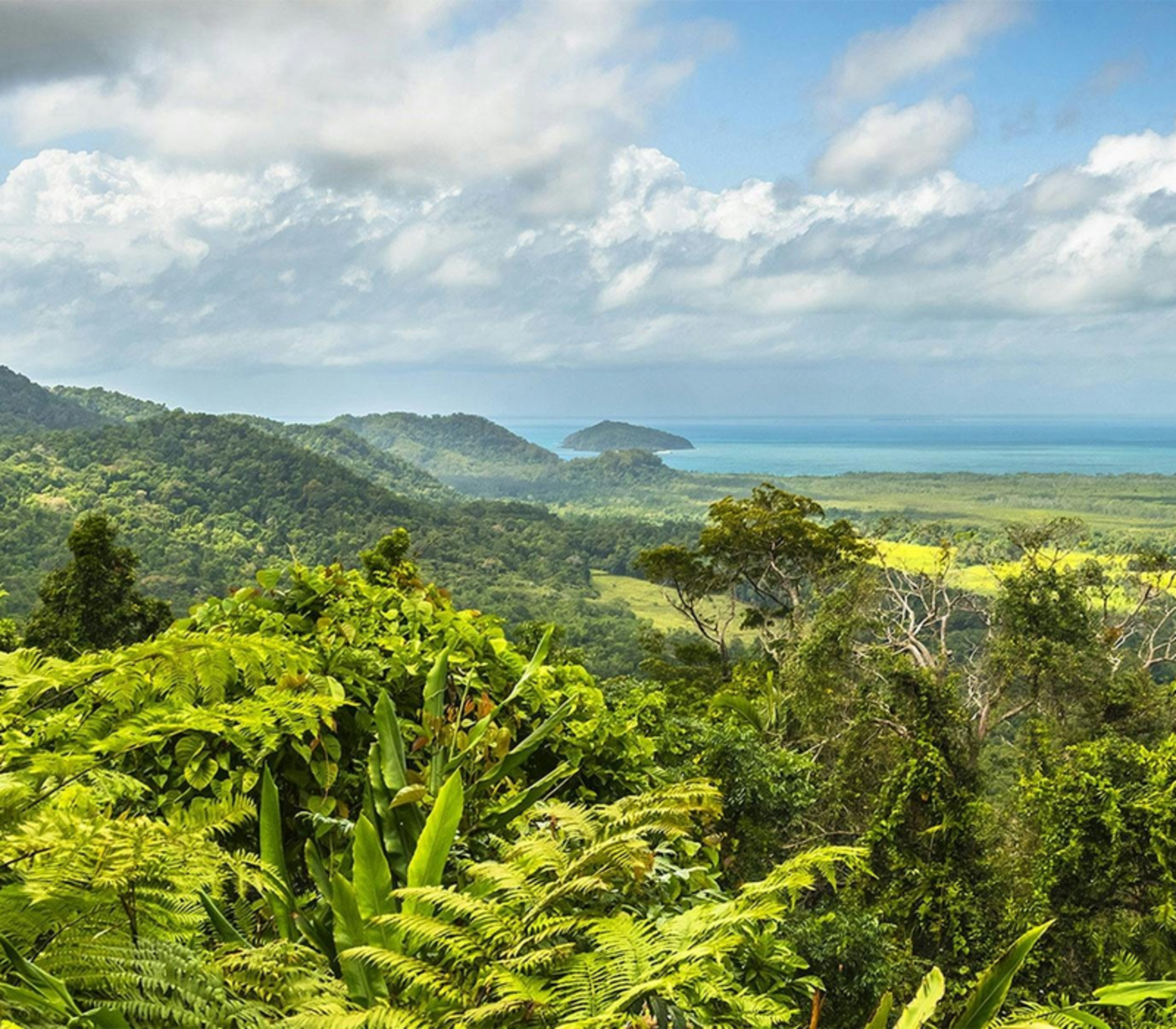 Overlooking a lush green rainforest valley leading to the blue ocean and small tropical islands in Queensland.