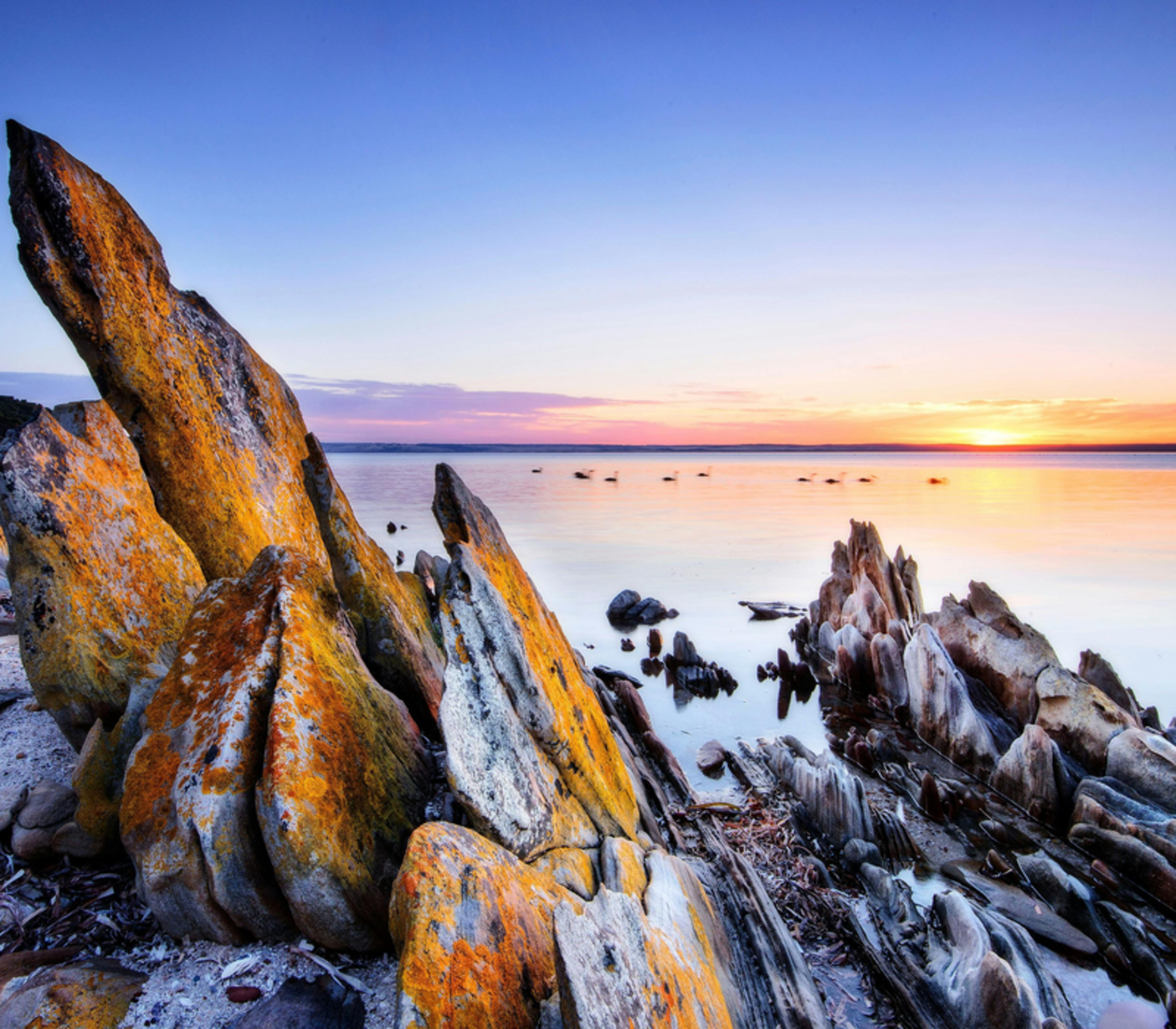 Sharp jagged rock formations on a beach at sunset with a calm sea and pink sky on Kangaroo Island.