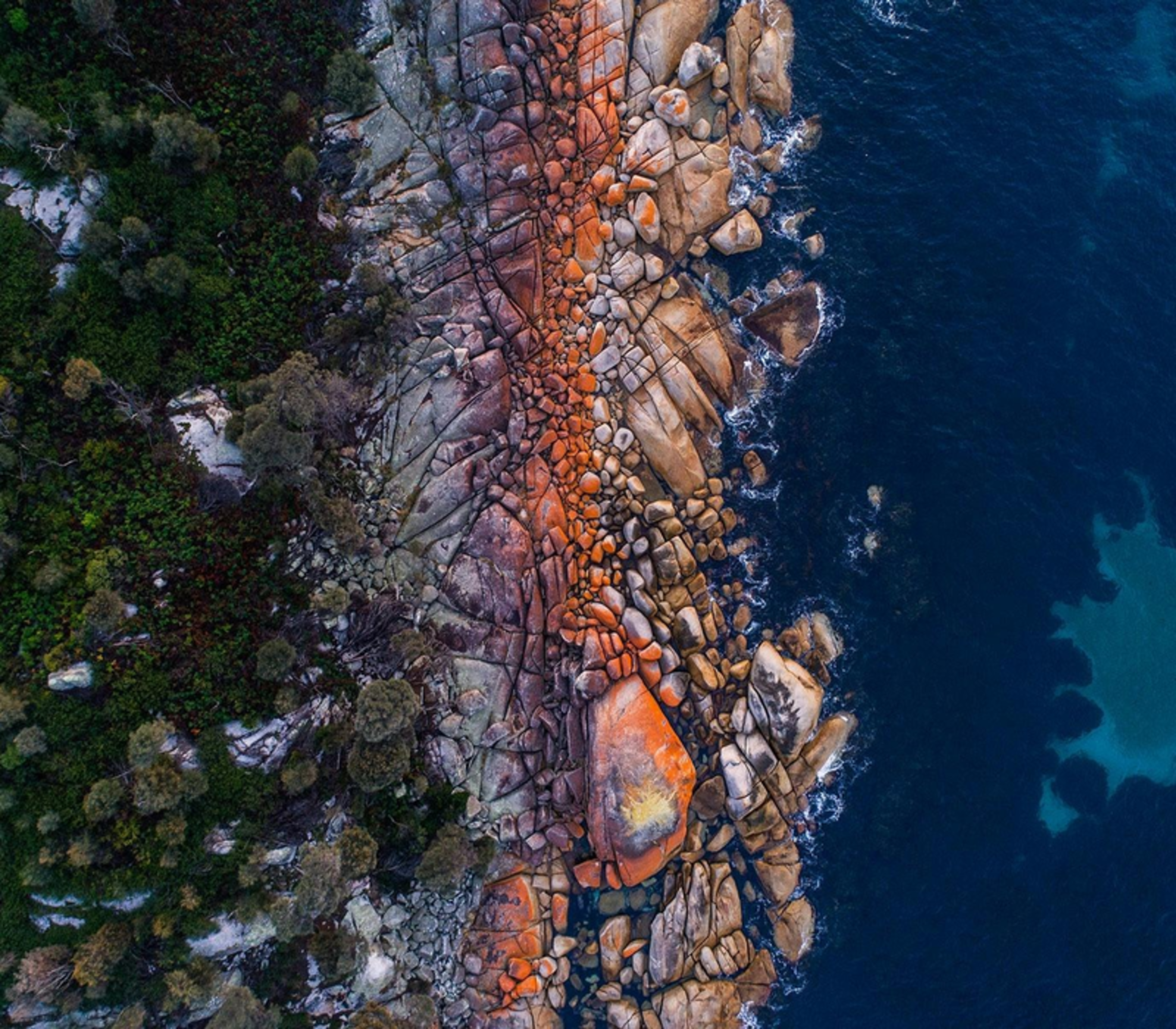 Vertical aerial shot of orange lichen-covered rocks on a rugged coastline beside deep blue ocean water in Tasmania.