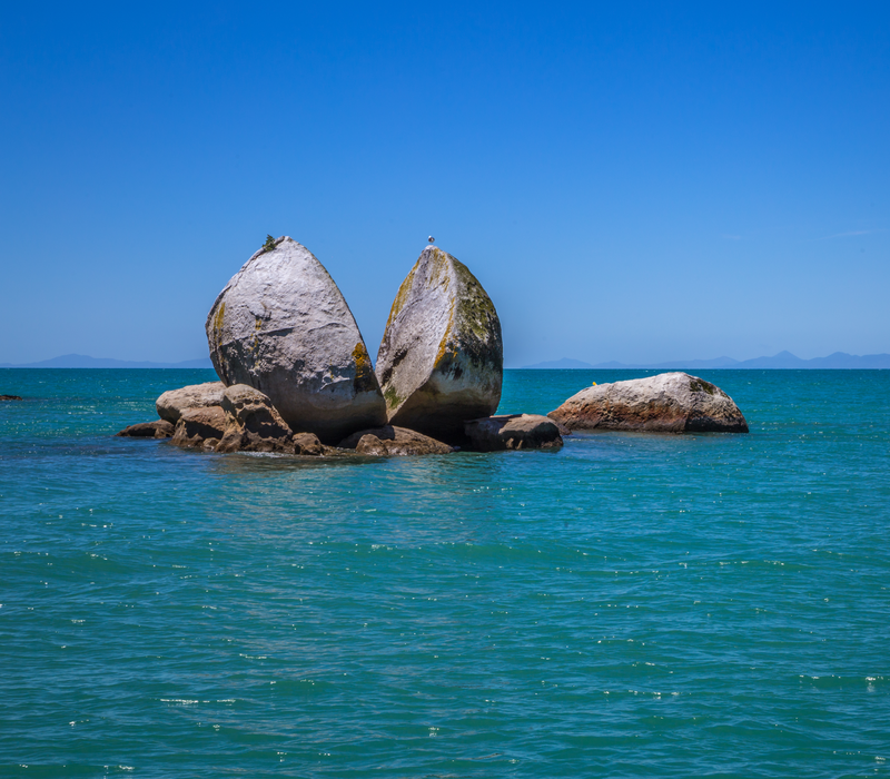 Top of the South Island Scenic Tour