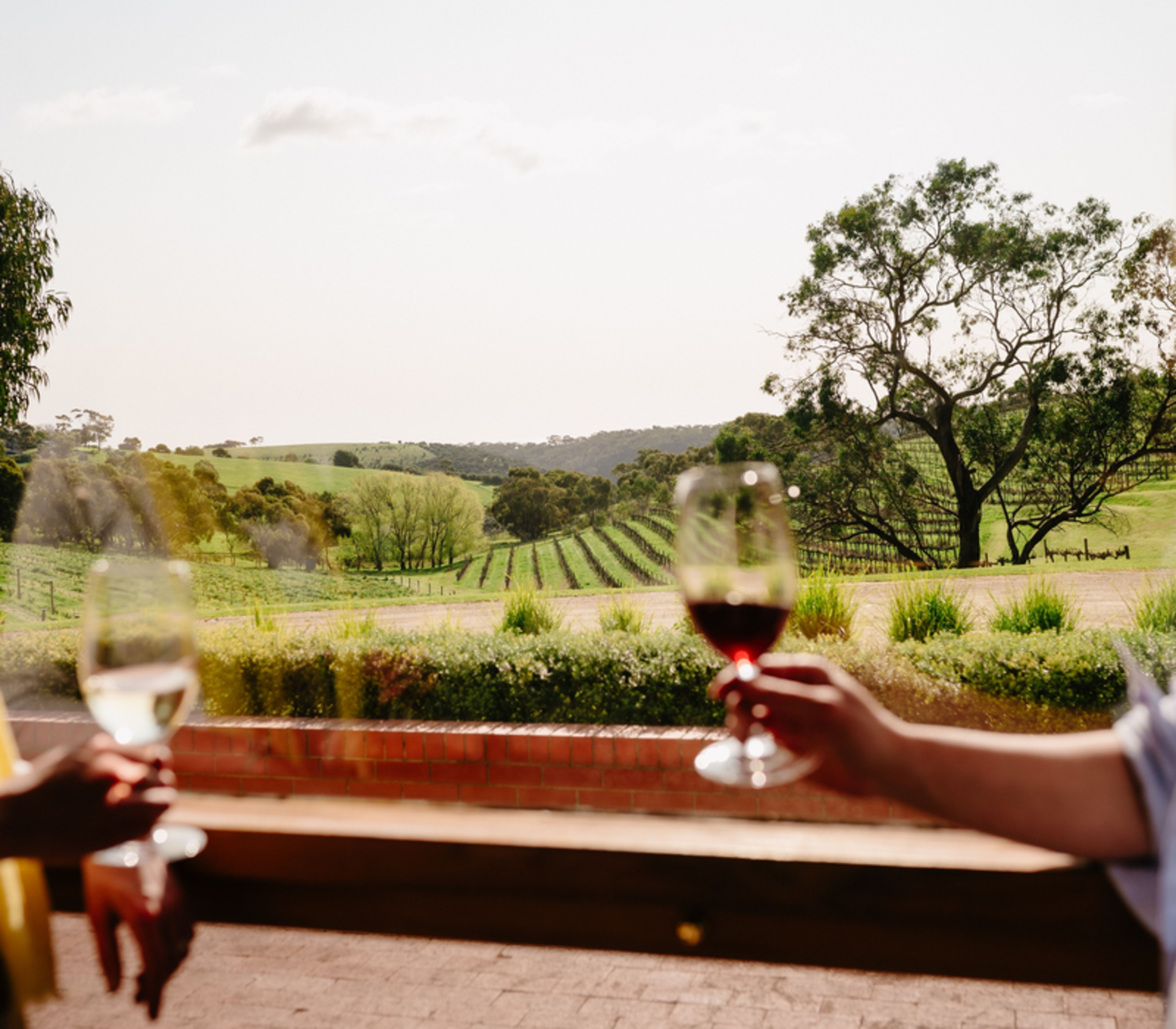 Two people hold wine glasses overlooking lush green vineyards in the Fleurieu Peninsula.