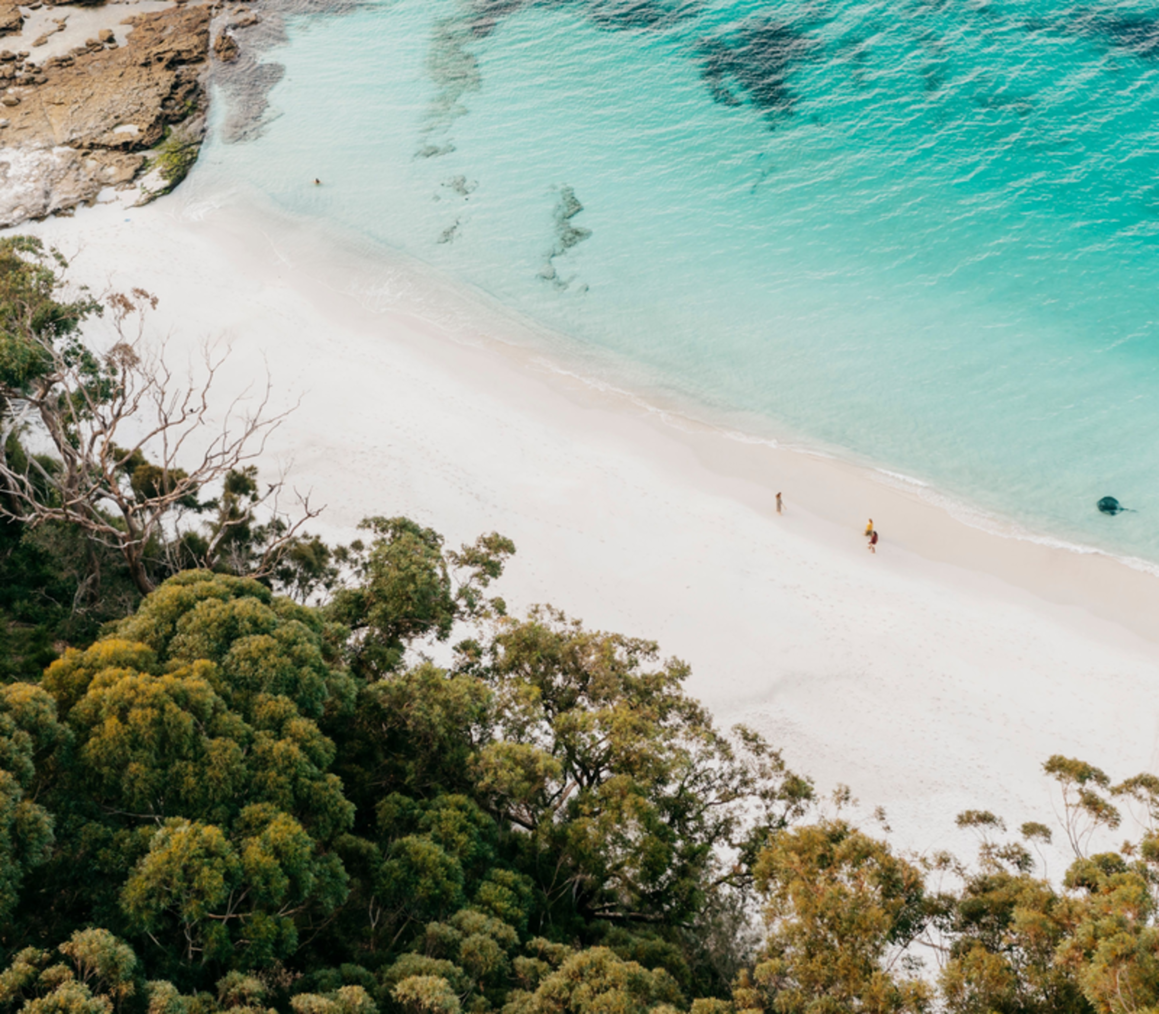 High-angle view of a white sand beach meeting clear blue water bordered by thick green trees.
