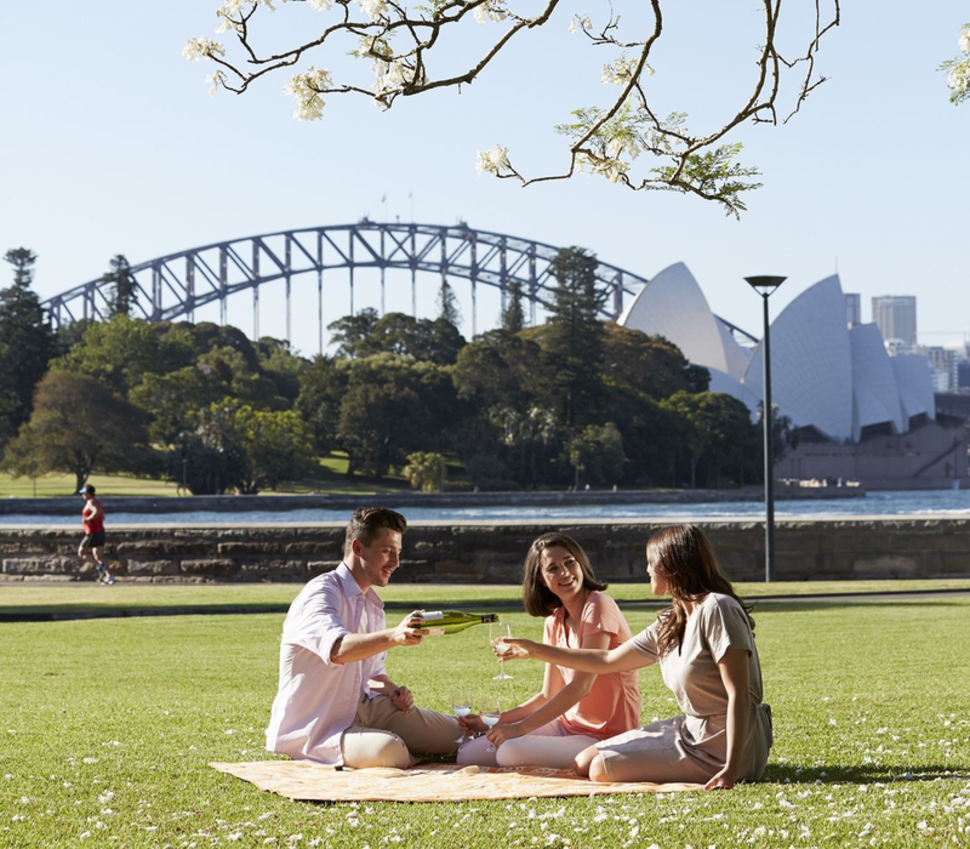 Three friends sitting on a picnic blanket in a park with the Sydney Opera House and Harbour Bridge visible behind them.