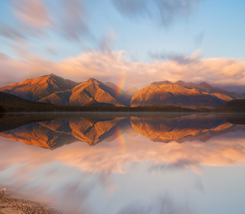 The Ultimate Birds of New Zealand Tour