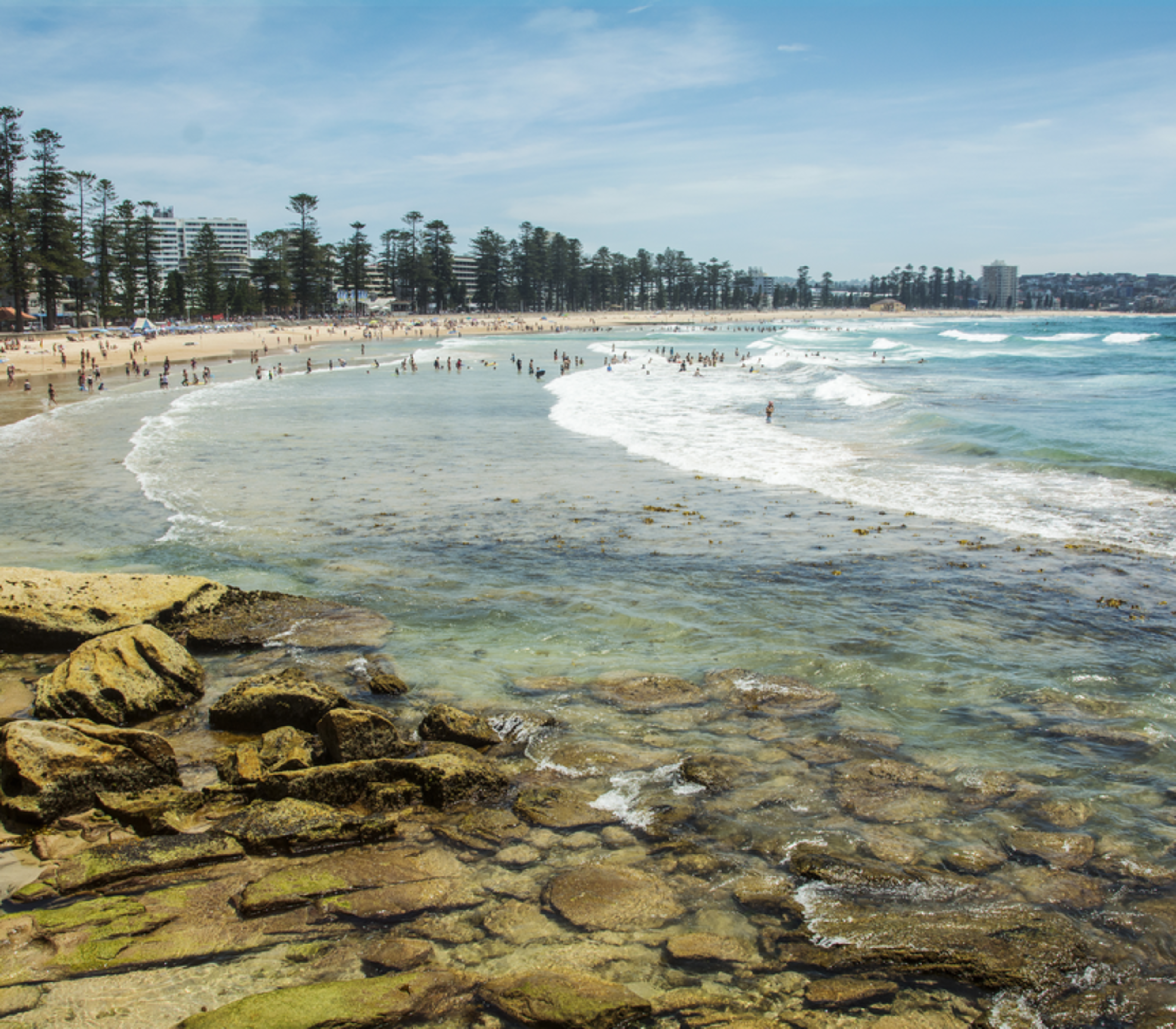 Crowded sandy beach with turquoise waves and pine trees lining the shore under a blue sky.