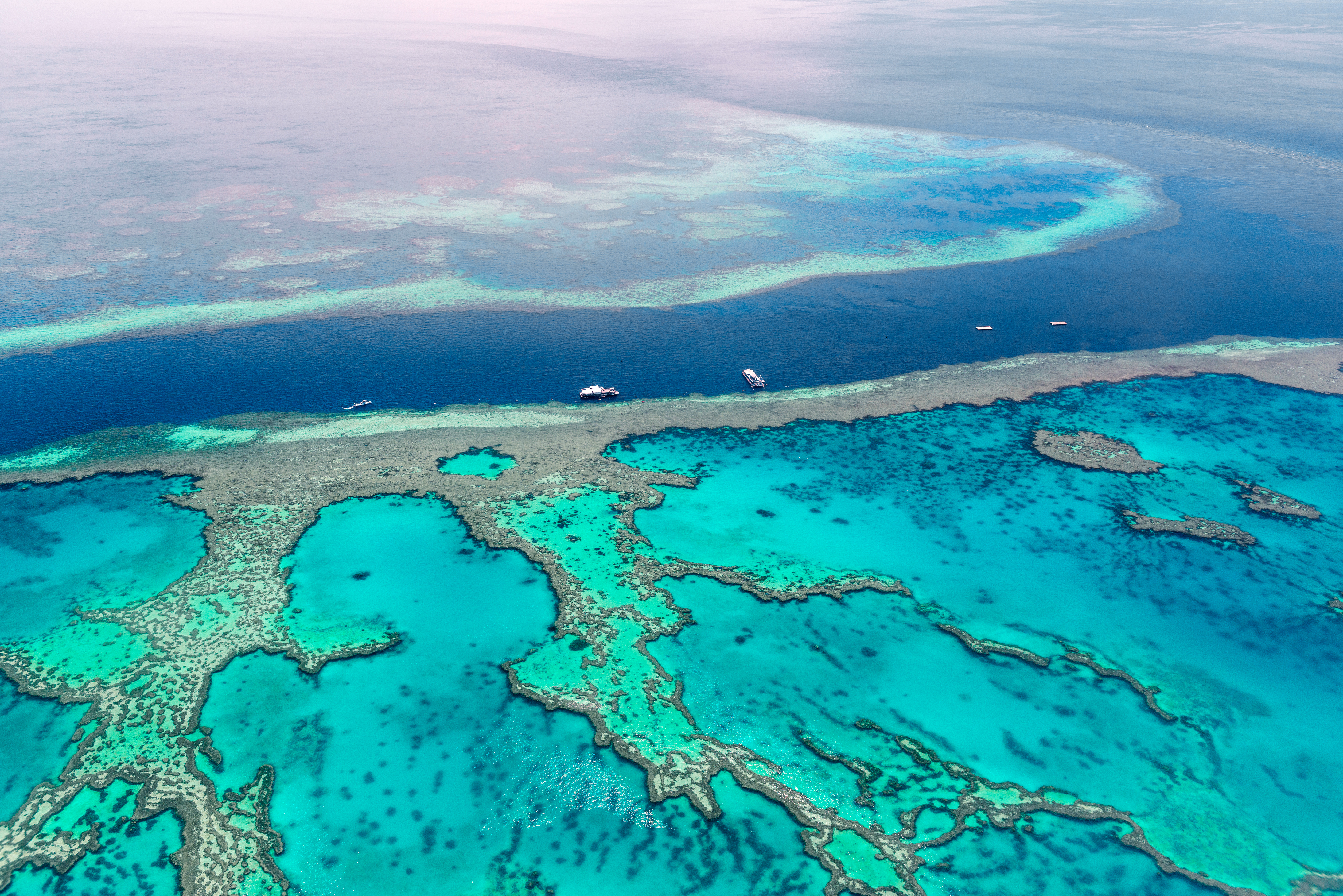 heron island queensland