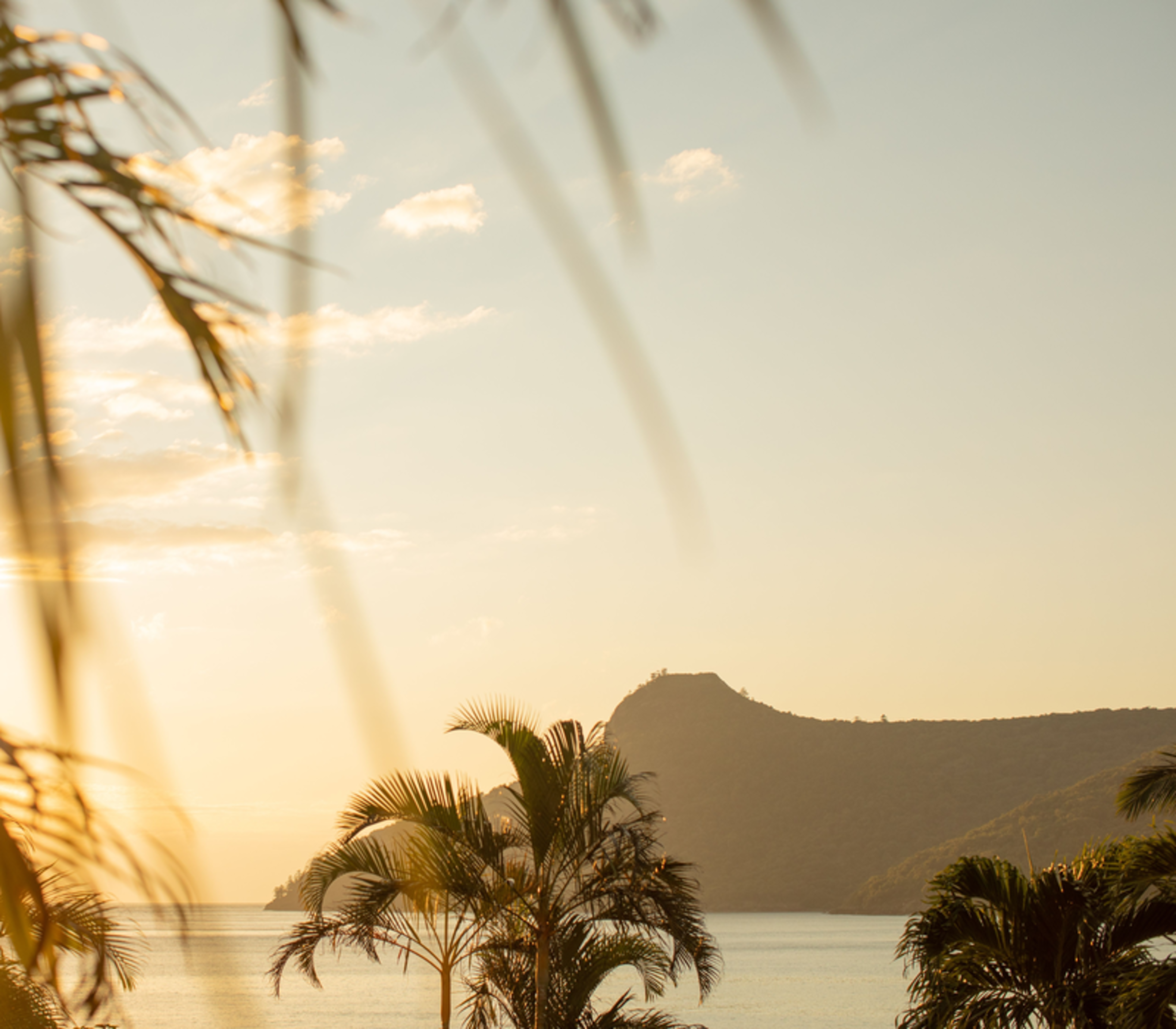 Blurred palm leaves in the foreground with a hazy golden sunset over a calm ocean and island hills.