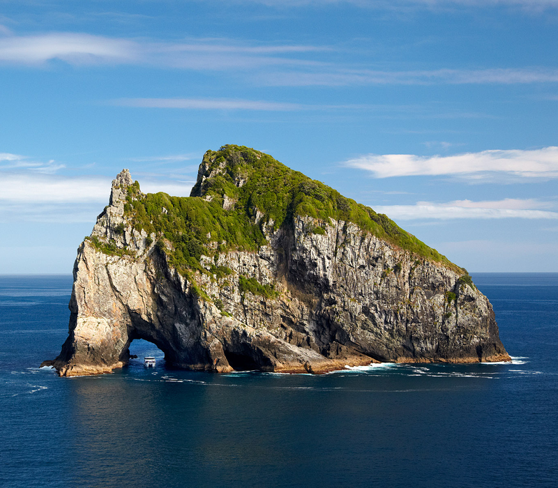 Discover Bay of Islands Tour