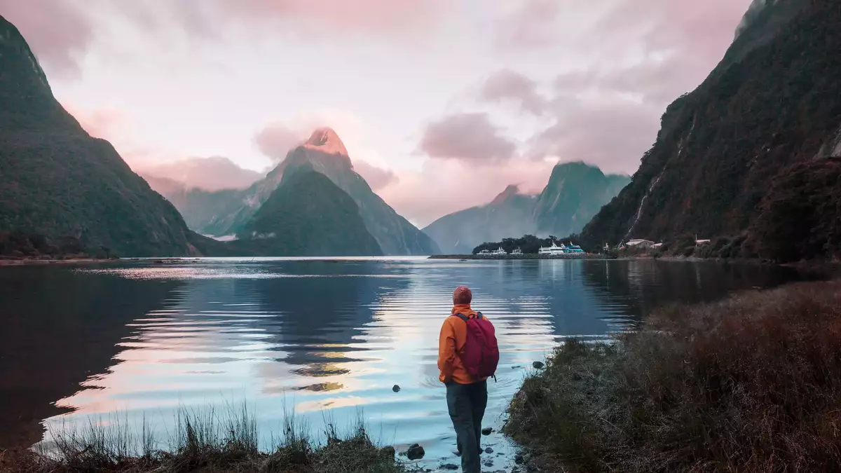 Walker looking at the pink sky sunset at Milford Sound Main Image