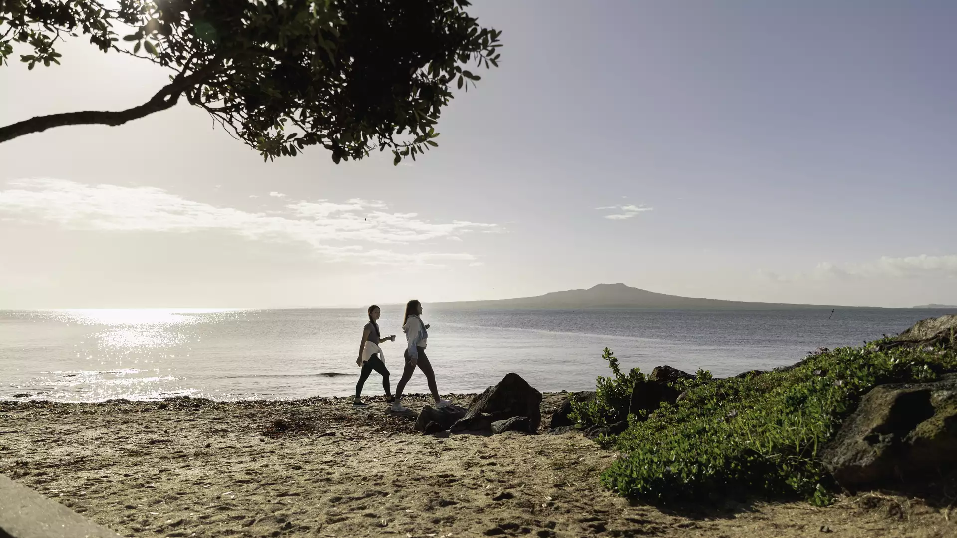 Two women in athletic wear walk along a sandy beach during a bright morning, with a large volcanic island visible across the calm sea and a pōhutukawa tree framing the top of the shot. Credit: Tātaki Auckland Unlimited Main Image