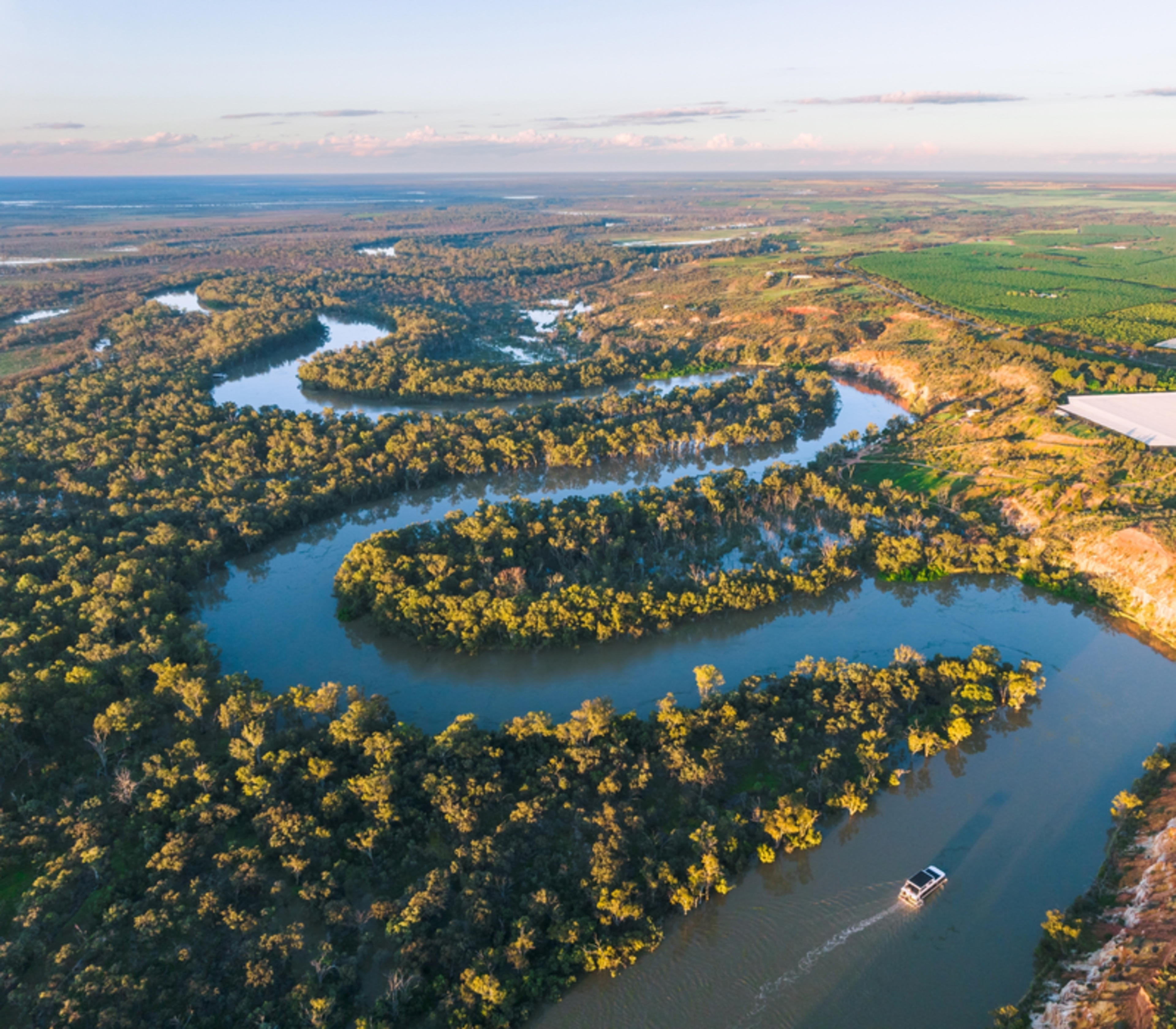 High-altitude aerial view of a houseboat cruising a winding section of the Murray River flanked by dense green trees and agricultural land in South Australia.