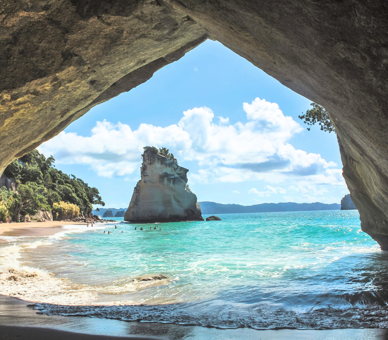 Pure Discoveries Kowhai Tour