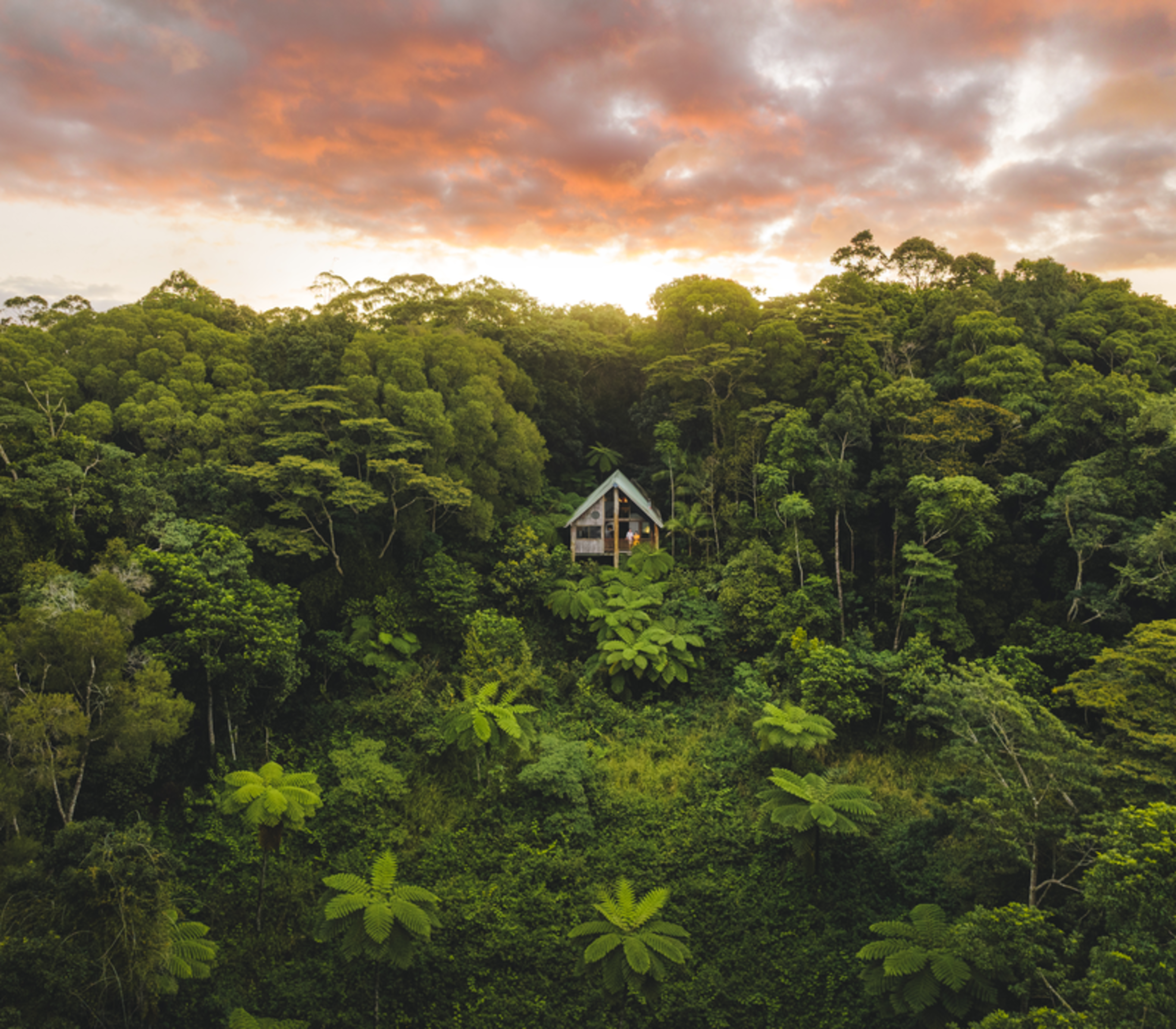 High-angle aerial shot of a small timber cabin surrounded by a sea of green rainforest under a vibrant orange and pink sunset sky.